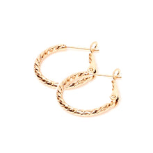 Load image into Gallery viewer, Gold Plated Twisted Wire Earrings (Copper)
