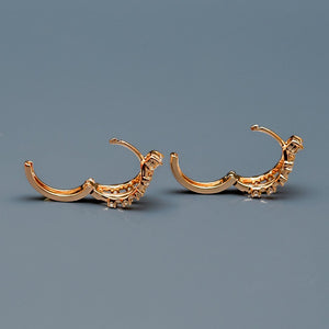 Flocking Bird Cage Earring - vistoso.pk