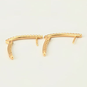 Icon Earrings - vistoso.pk