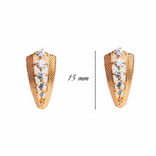 Load image into Gallery viewer, Knockers Earrings - vistoso.pk
