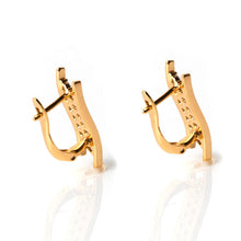 Load image into Gallery viewer, Perplexity Ear Earring - vistoso.pk
