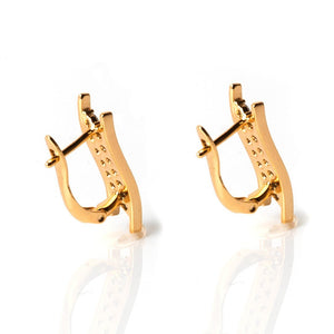 Perplexity Ear Earring - vistoso.pk