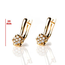 Load image into Gallery viewer, Wild Flower Earrings - vistoso.pk
