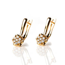 Load image into Gallery viewer, Wild Flower Earrings - vistoso.pk
